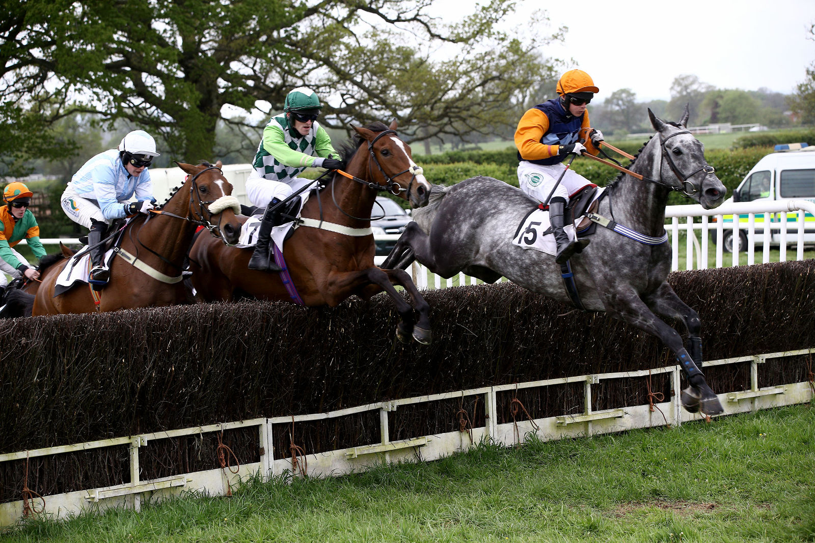 Results: Albrighton & Woodland (North) Point-to-Point 08/02/2020