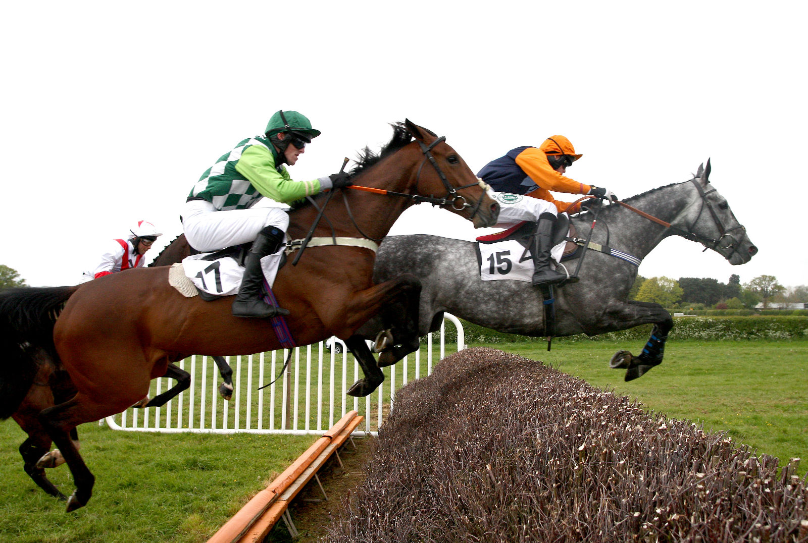 Race Card & Form Guide: Harkaway Club Point-to-Point 28/12/2020