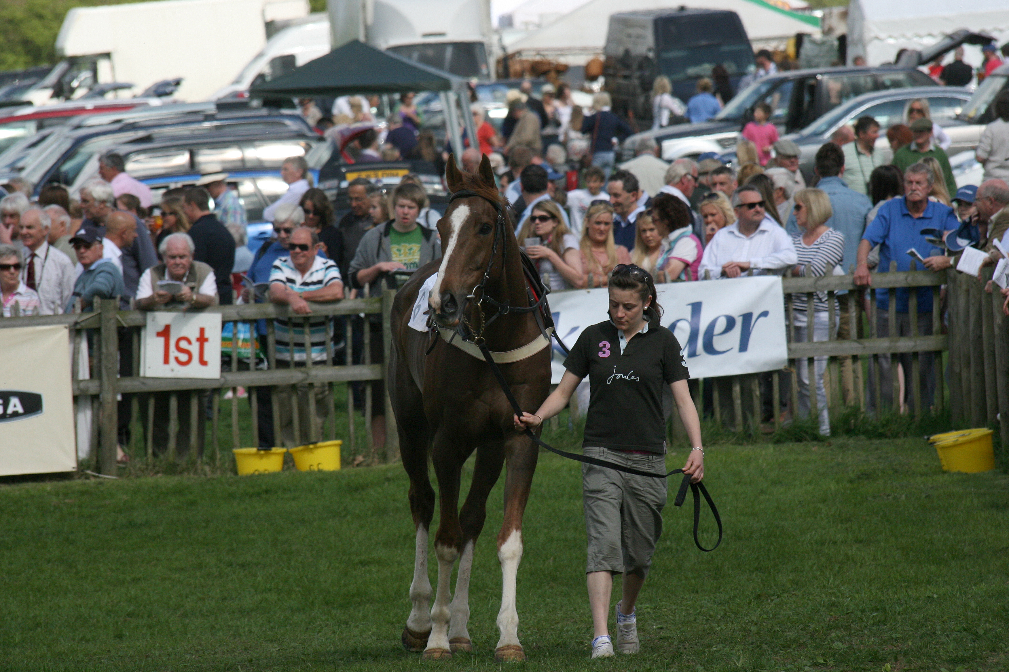 Planner Alteration: Albrighton & Woodland (South) 30/05/2016 – Race 4